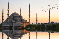 sultan a.webp