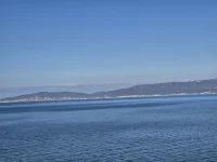 1000005852.webp