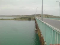 DSC01887.webp