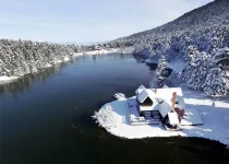 1731615502286.webp