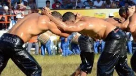 1731965557724.webp