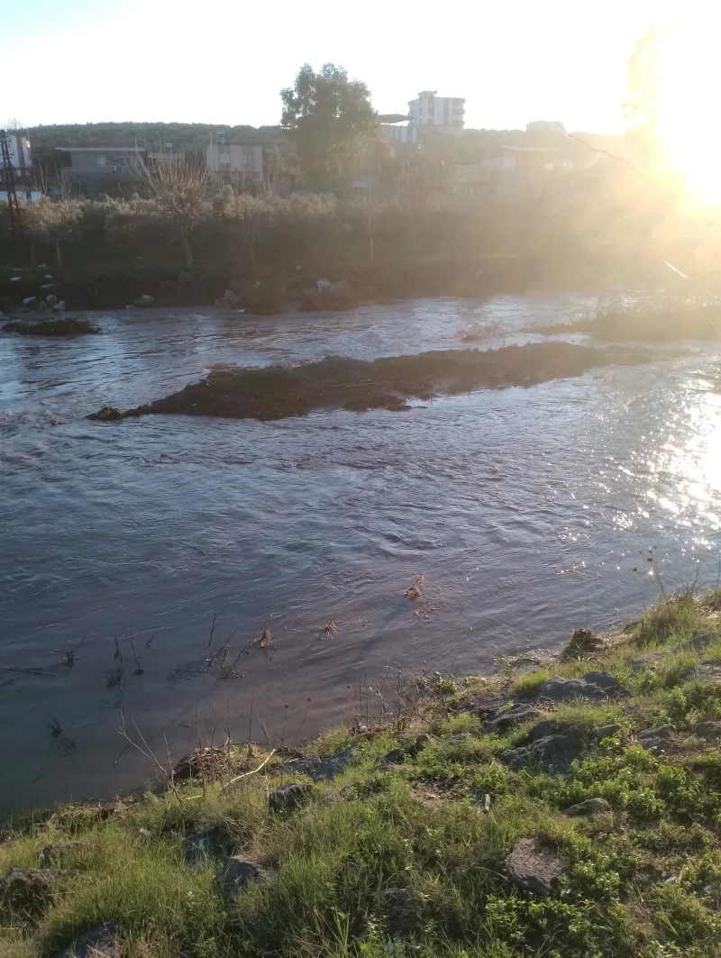 IMG_20240105_164931.webp