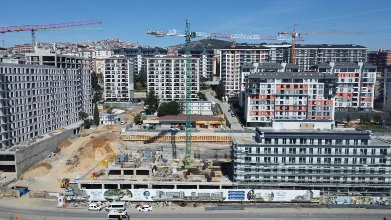 1742468496636.webp 1742468496636.webp