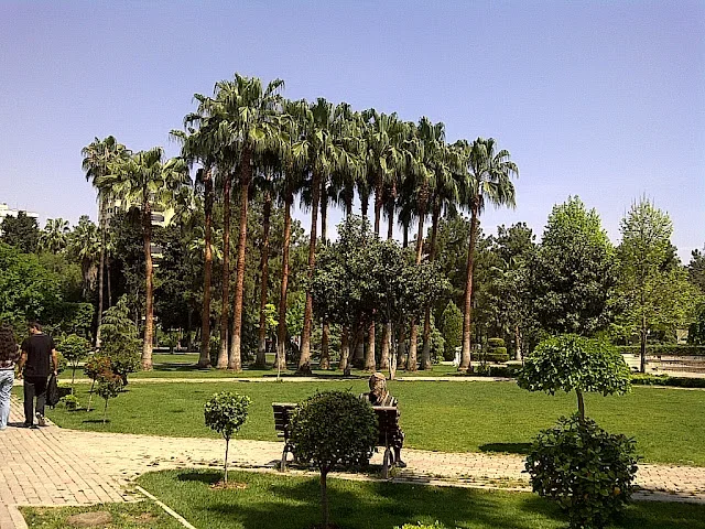 palmiye.webp