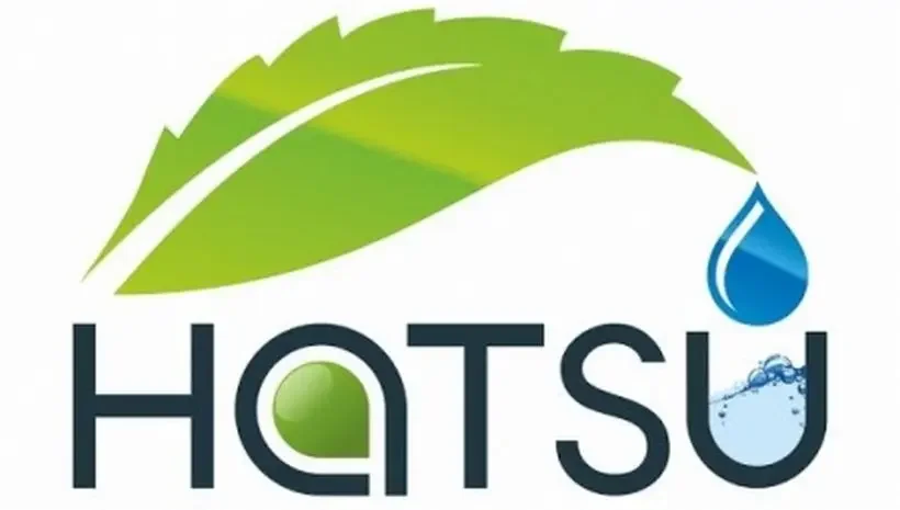 hatsu.webp