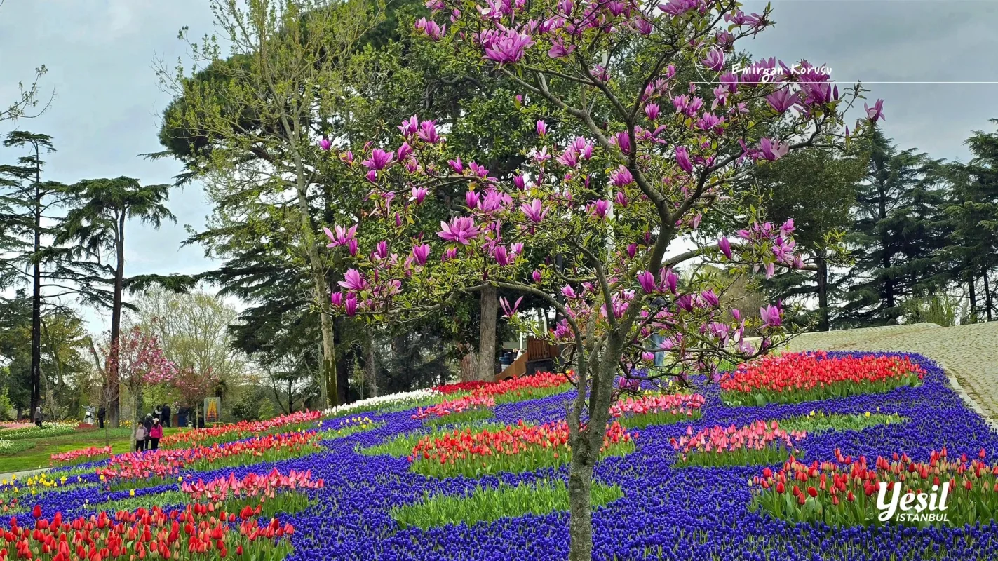 GogIZTwXcAAvjS1.webp