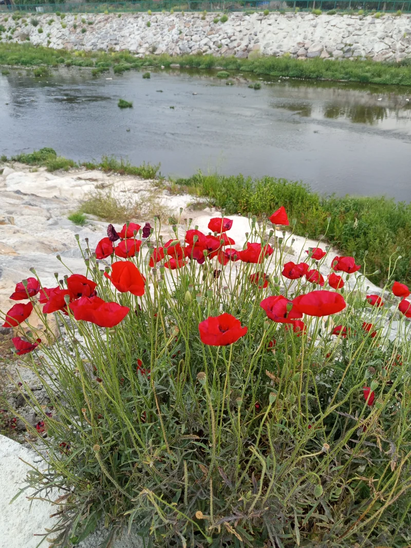 IMG_20250430_185347.webp