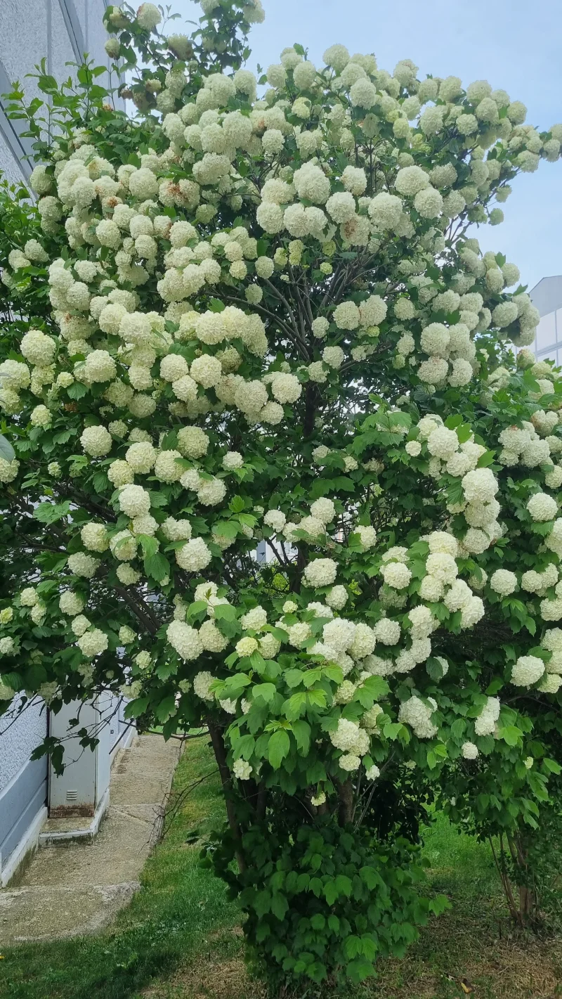 20250430_174458.webp