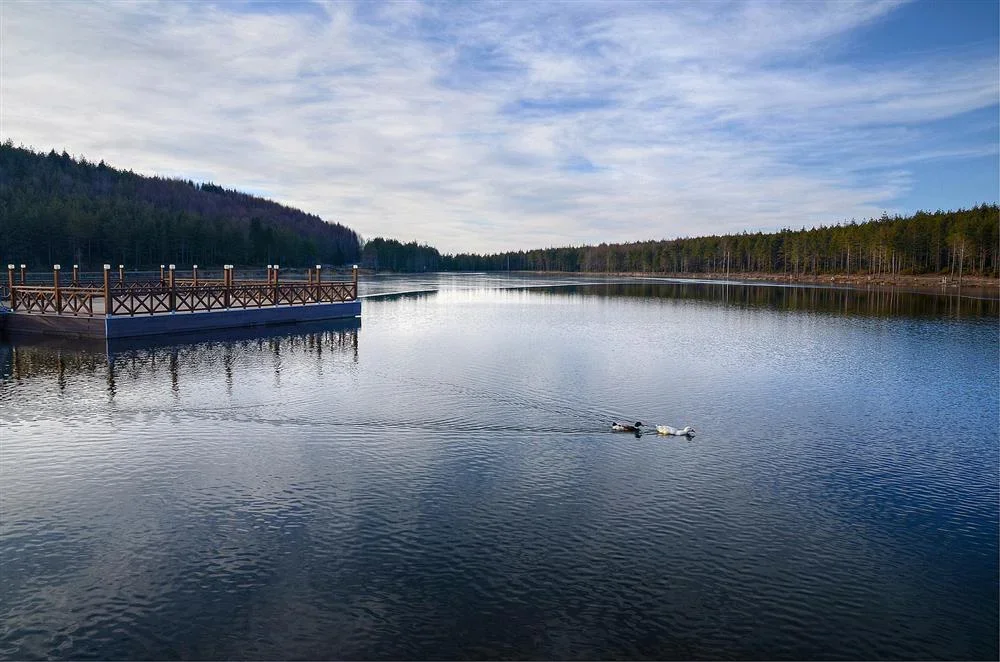 246226,topuk-yaylasi-ve-goleti.webp