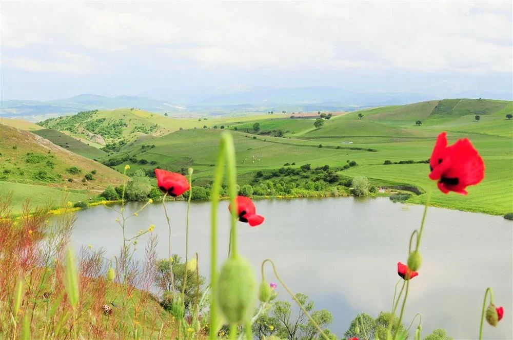 255904,hasanlar-baraj-golu.webp