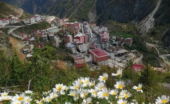 images.webp