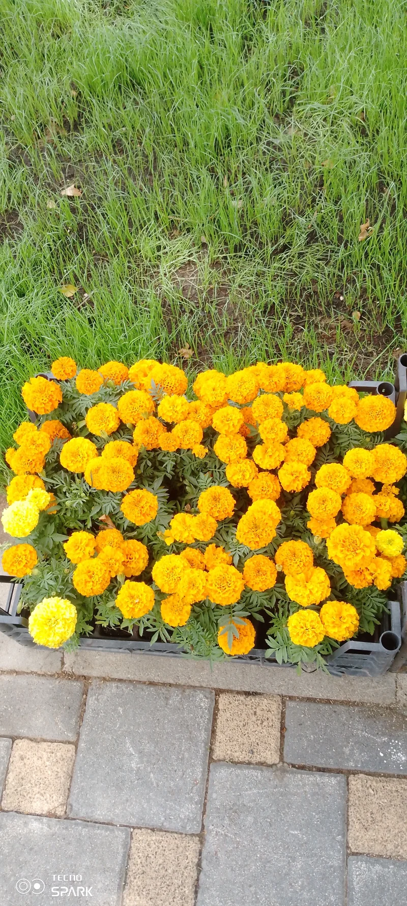 IMG_20250511_115750_168.webp