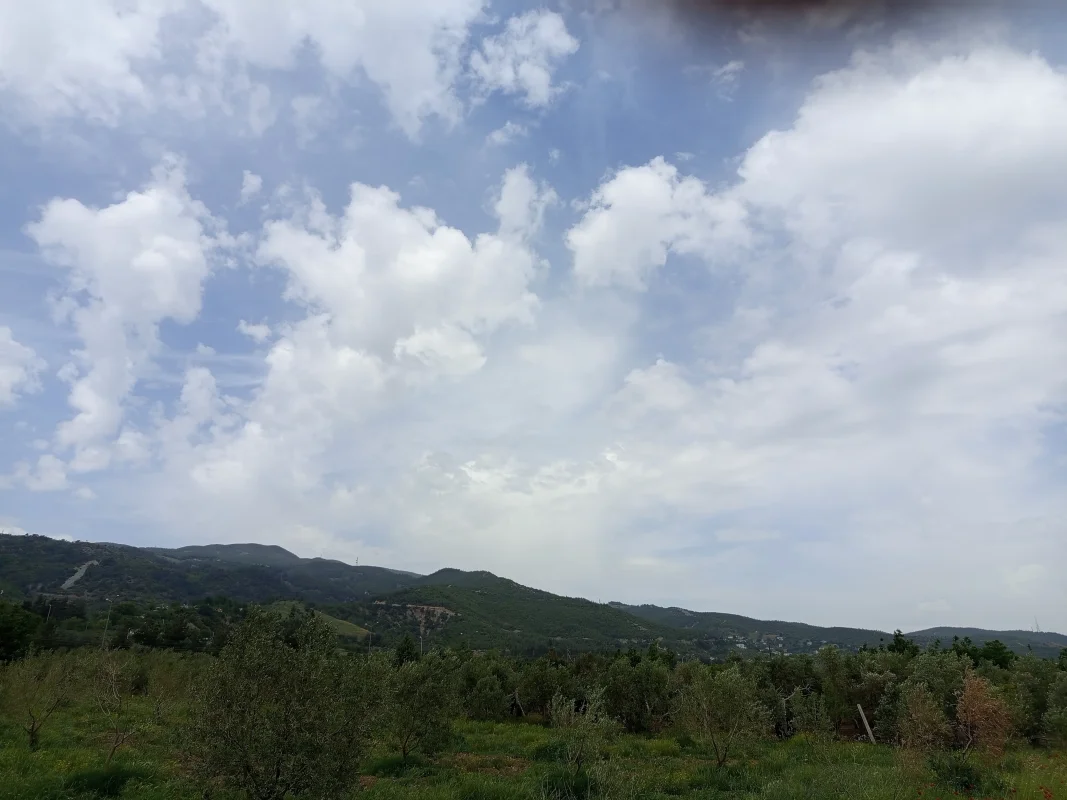 IMG_20250511_135938.webp