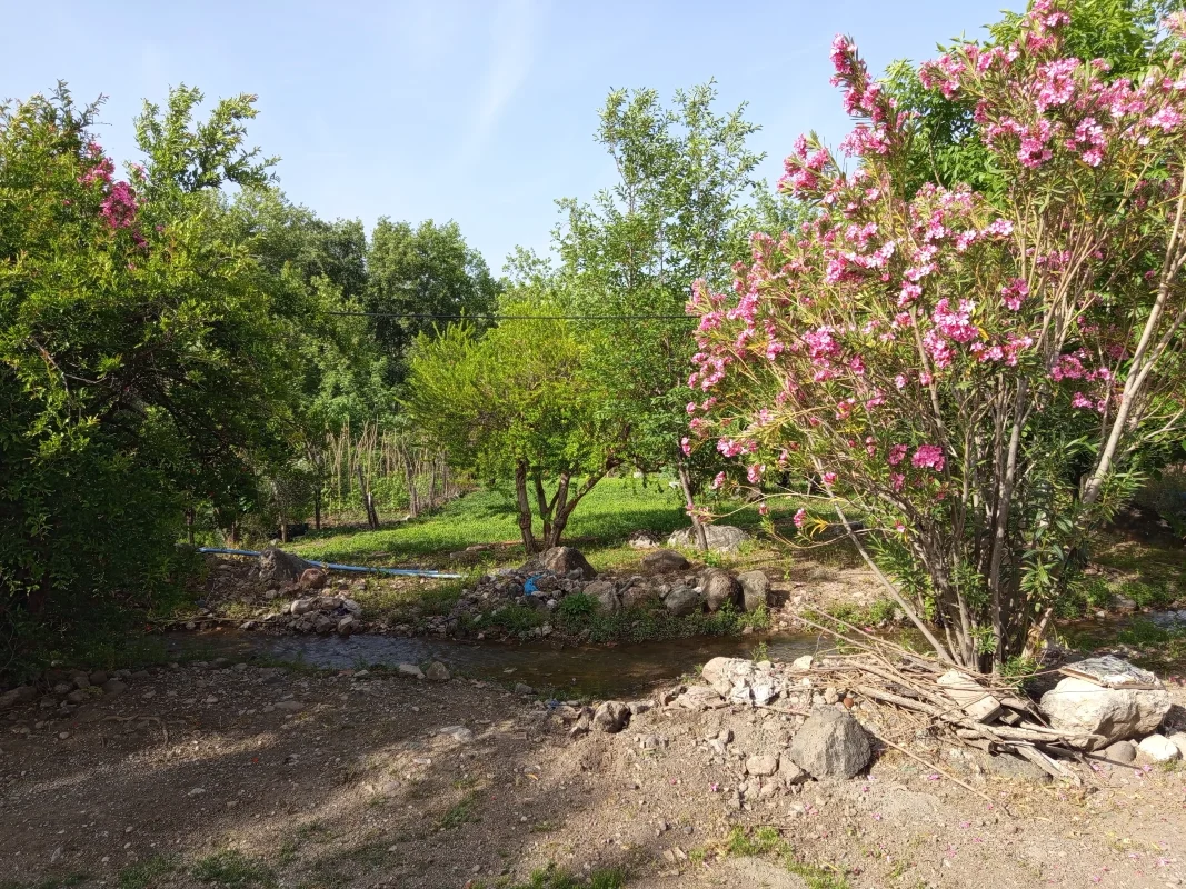 IMG_20250511_082312.webp