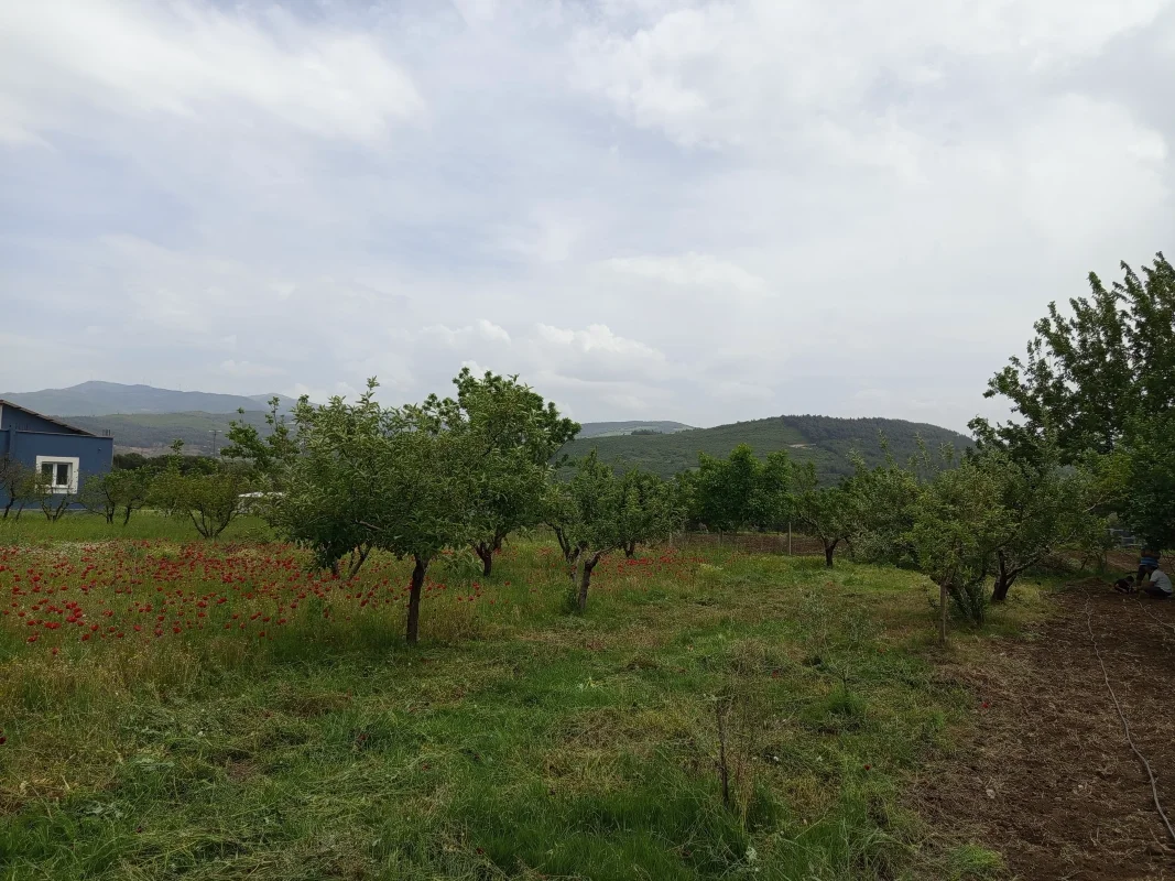 IMG_20250511_135431.webp