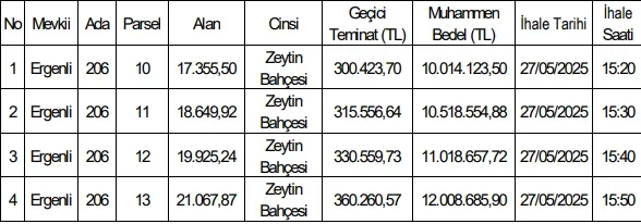 bayindir-satis-zeytin-bahcesi.webp