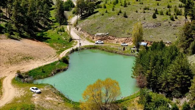 2363514_2.webp