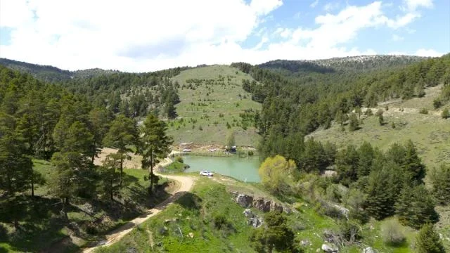 2363512_2.webp