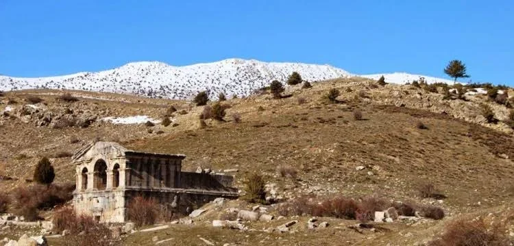 images (12).webp images (12).webp