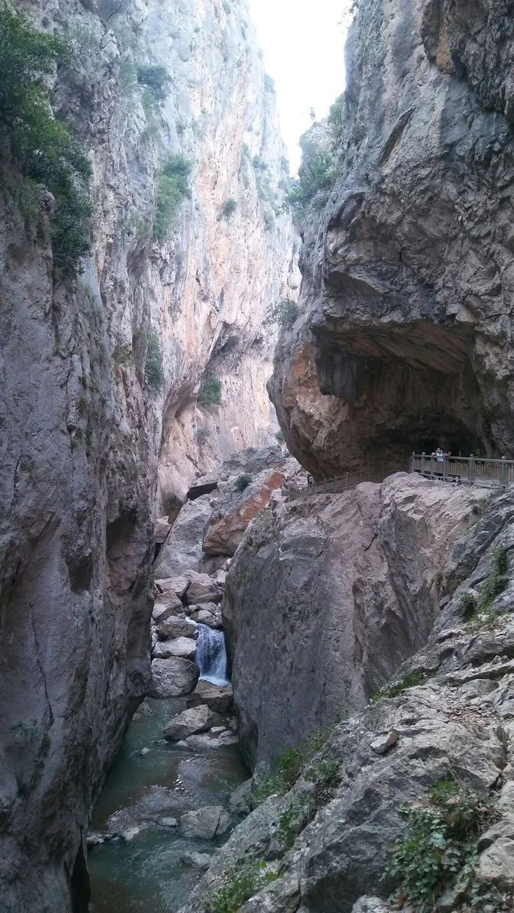 2aaf31cdbac9c1edc05487bf472f595a.webp 2aaf31cdbac9c1edc05487bf472f595a.webp