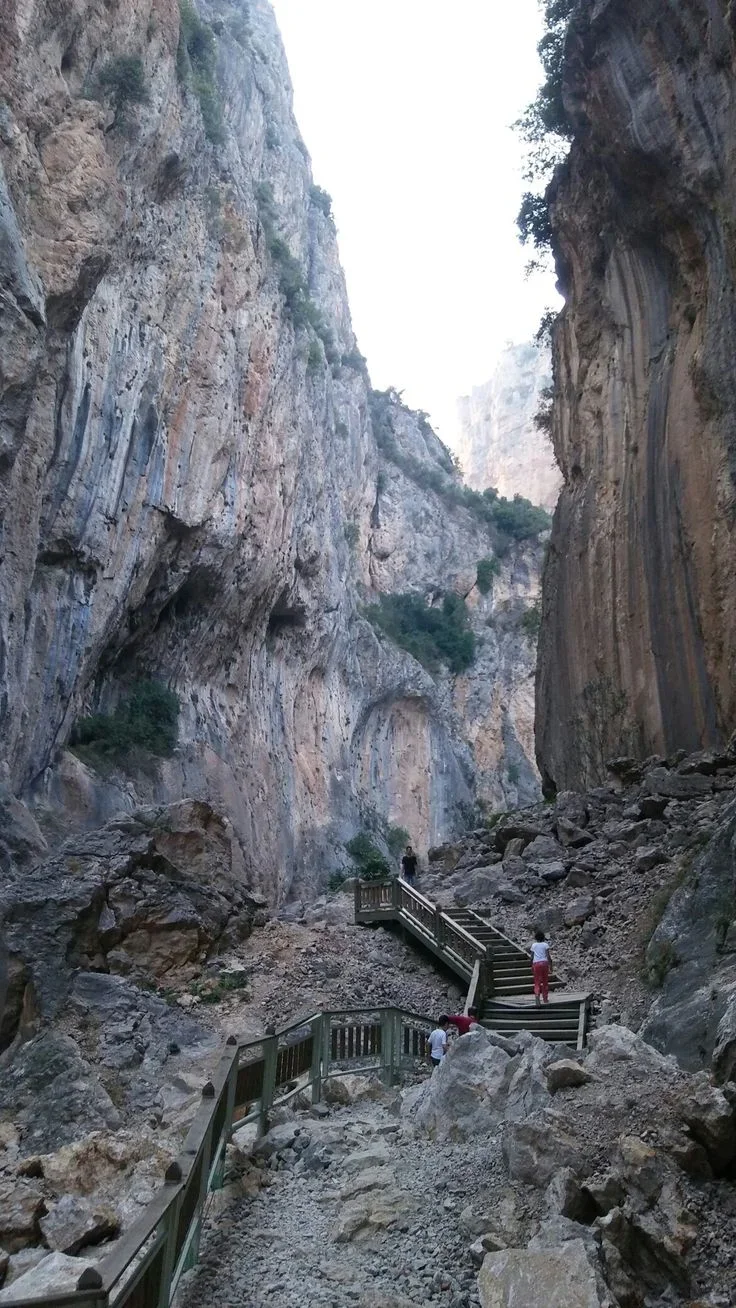 e642fb4608ee6c797a0430aa5f62896a.webp e642fb4608ee6c797a0430aa5f62896a.webp