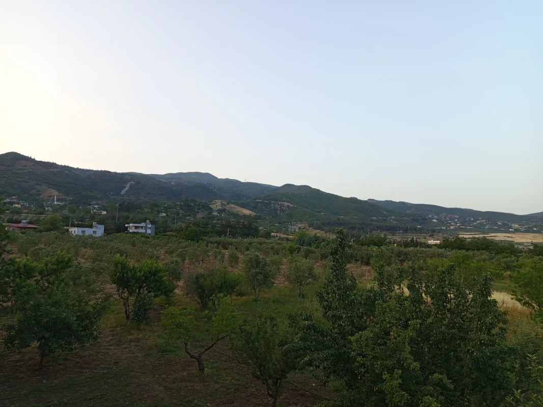 IMG_20250605_192827.webp