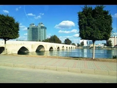 c41001dc3bb9d53241ddf2b8ebdf60d9.webp