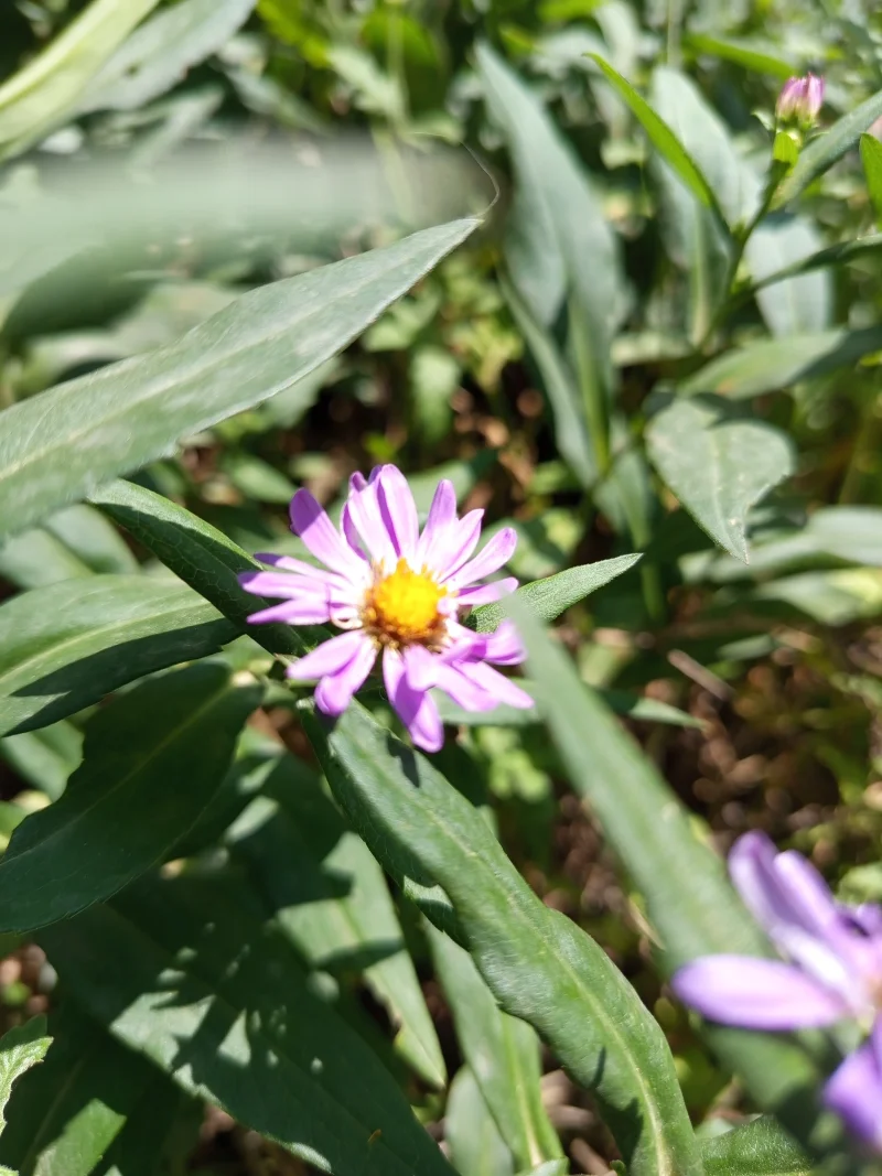 IMG_20250606_114040.webp