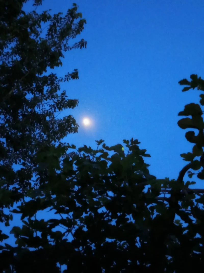 IMG_20250606_202900.webp