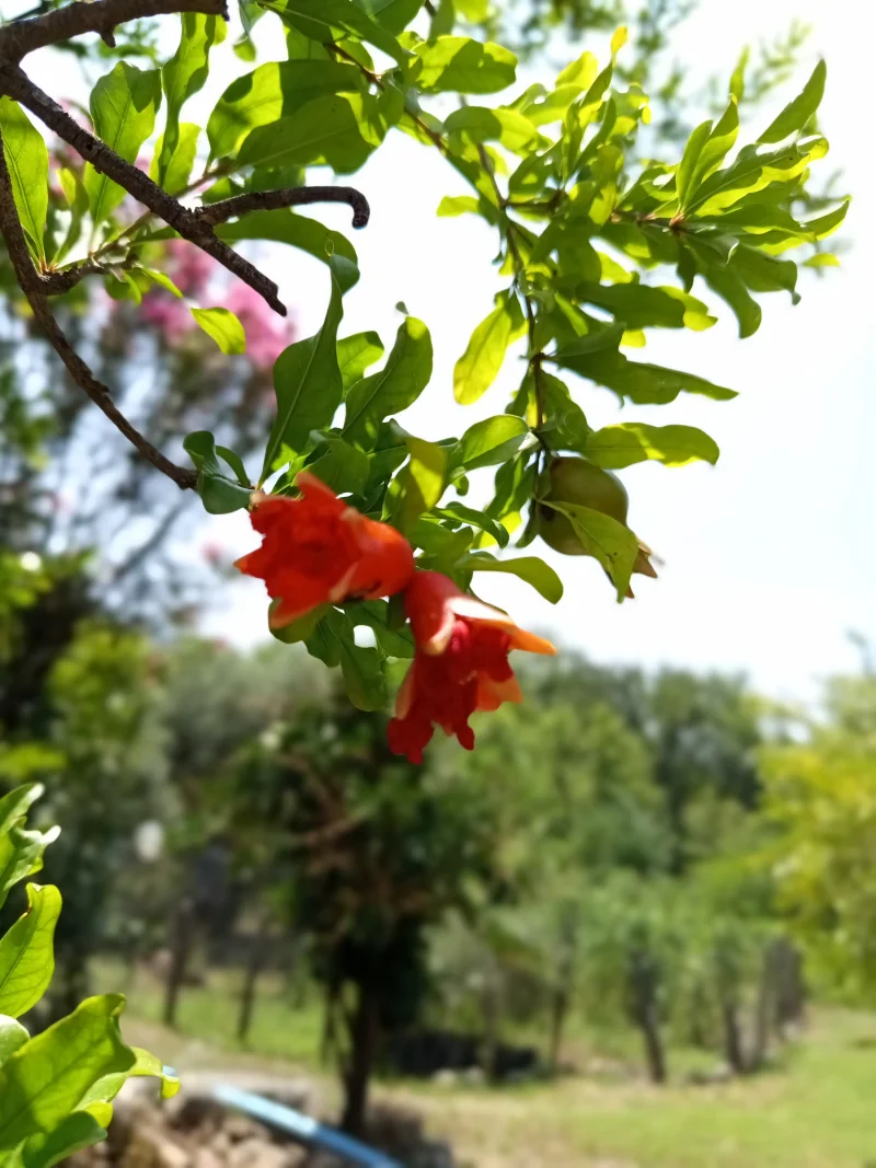 IMG_20250607_121120.webp