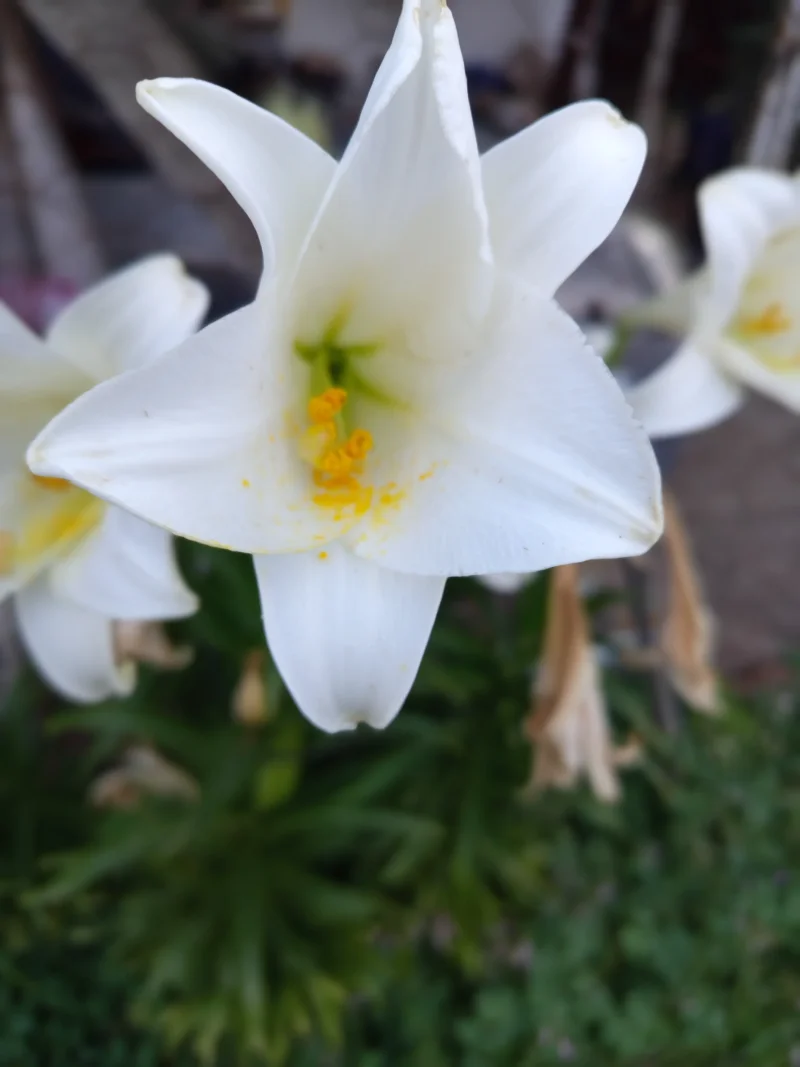IMG_20250607_194639.webp