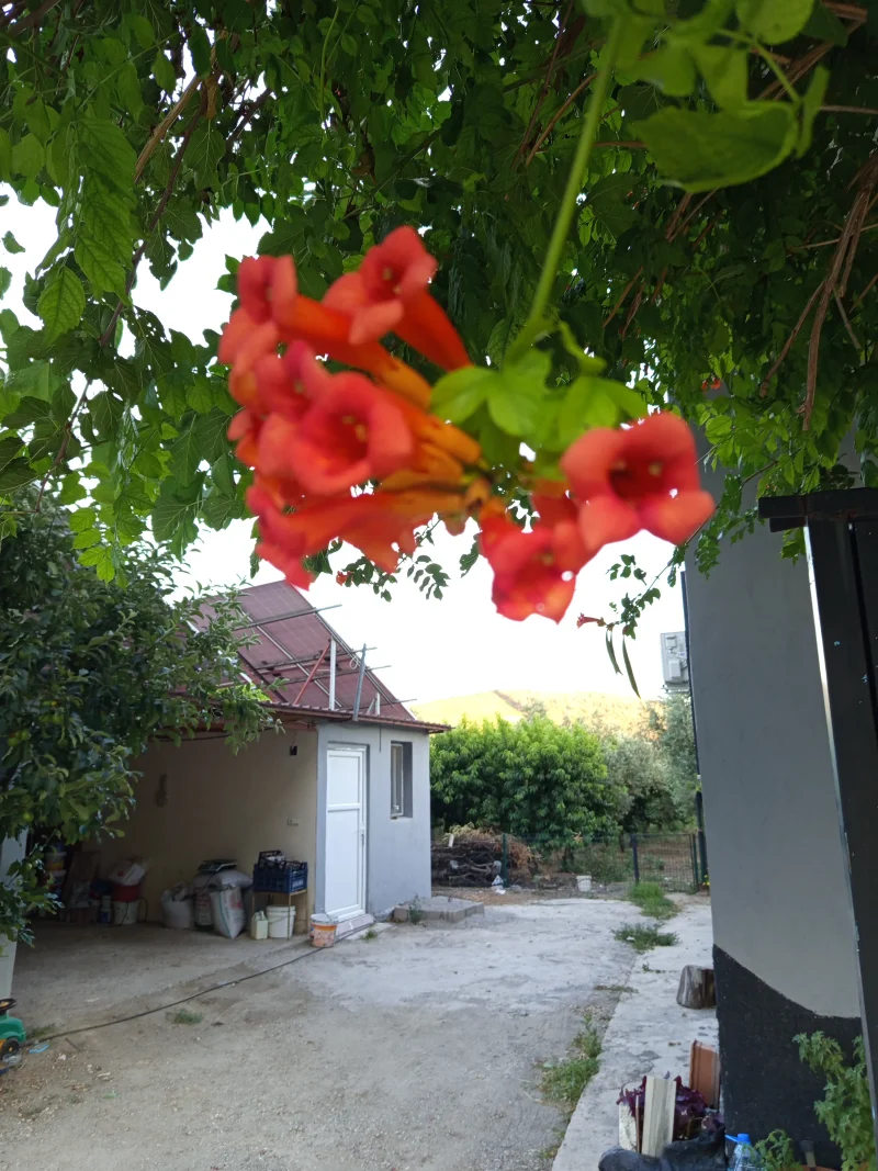 IMG_20250705_193234.webp