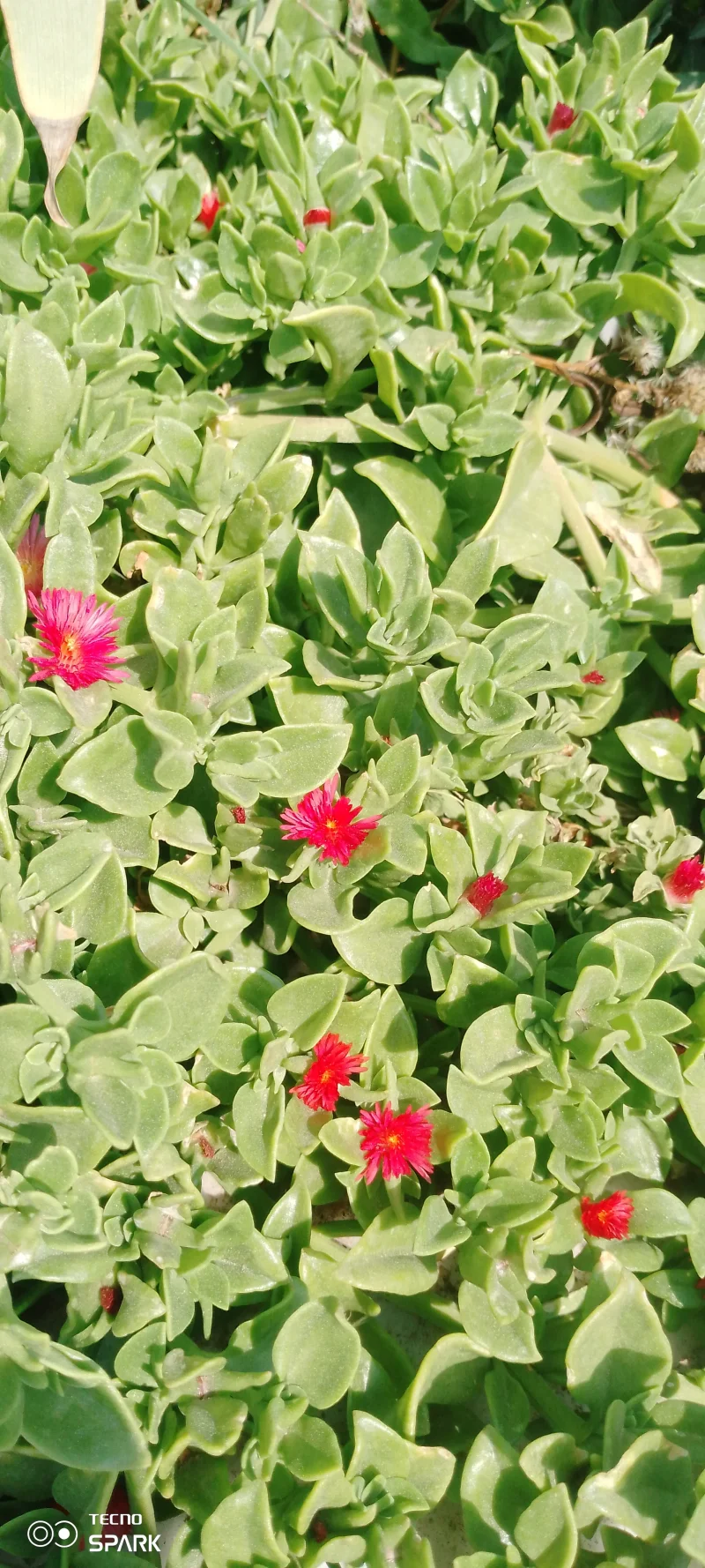 IMG_20250608_102436_306.webp