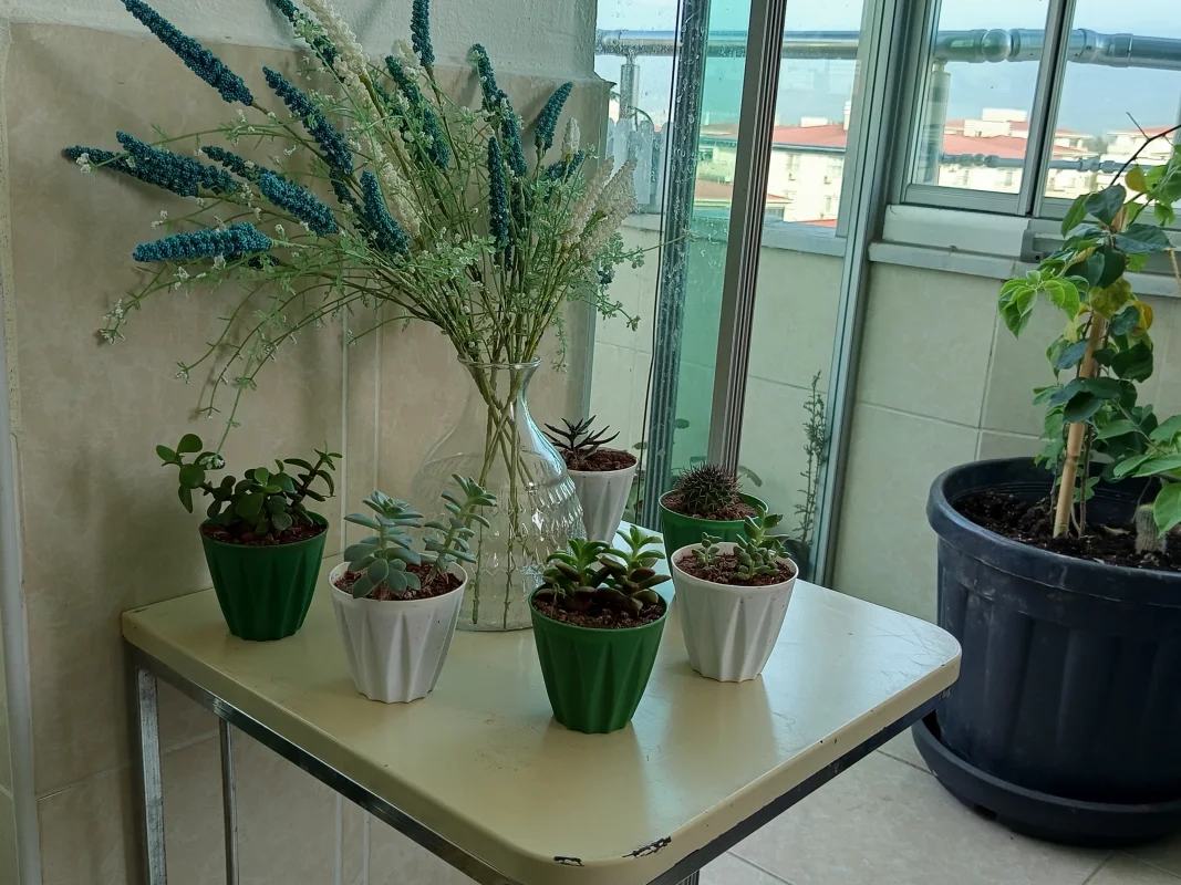IMG_20250611_174804.webp