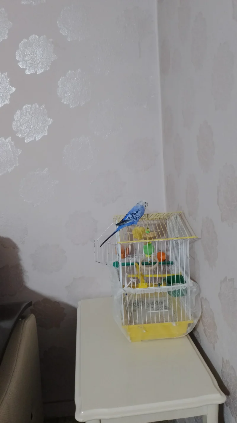 IMG_20230411_203300.webp