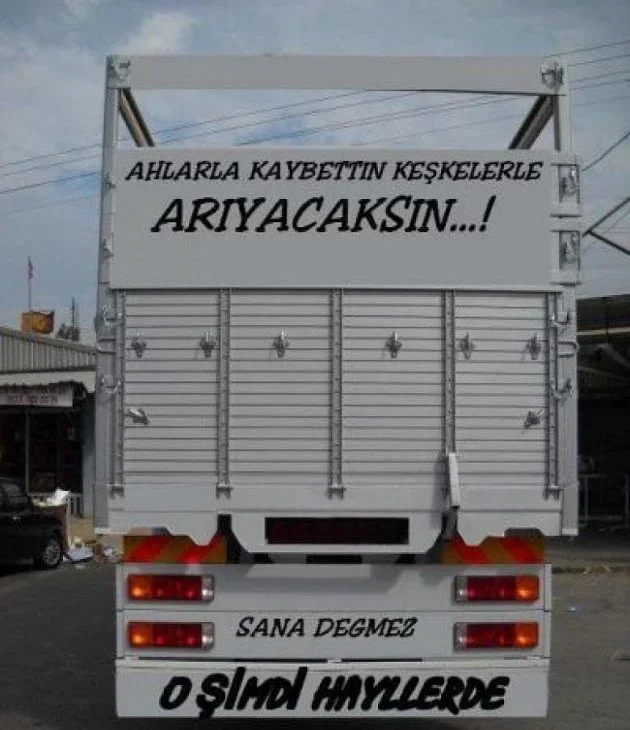 fffe49f43f6a14ea655931e46abf641d.webp