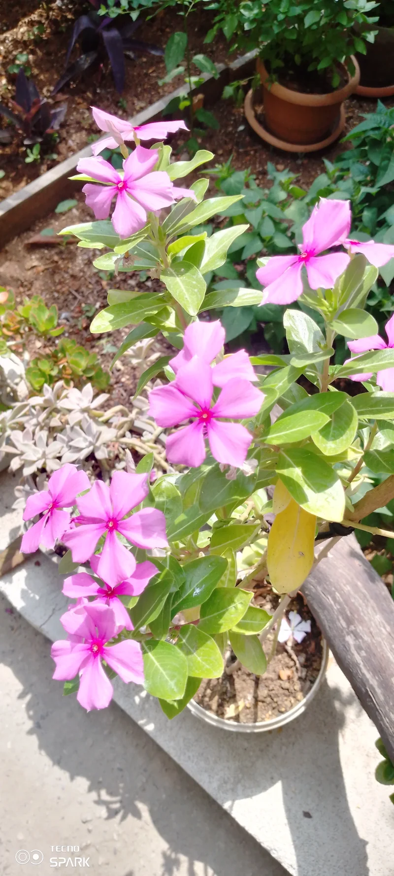 IMG_20250614_103541_454.webp