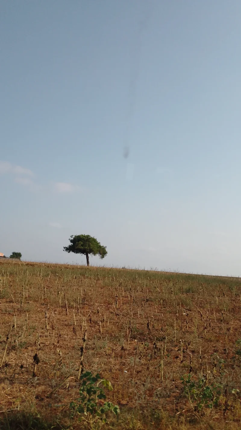 IMG-20250723-WA0033.webp
