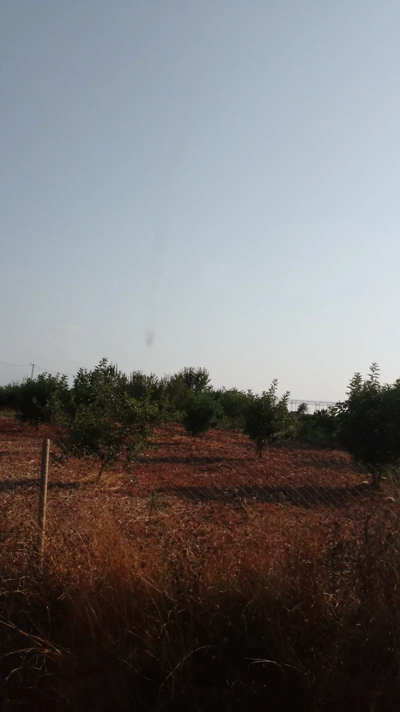 IMG-20250723-WA0035.webp
