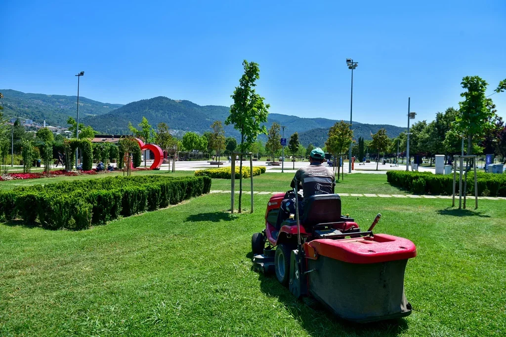 35727_MTY4NTJjNW_3.webp