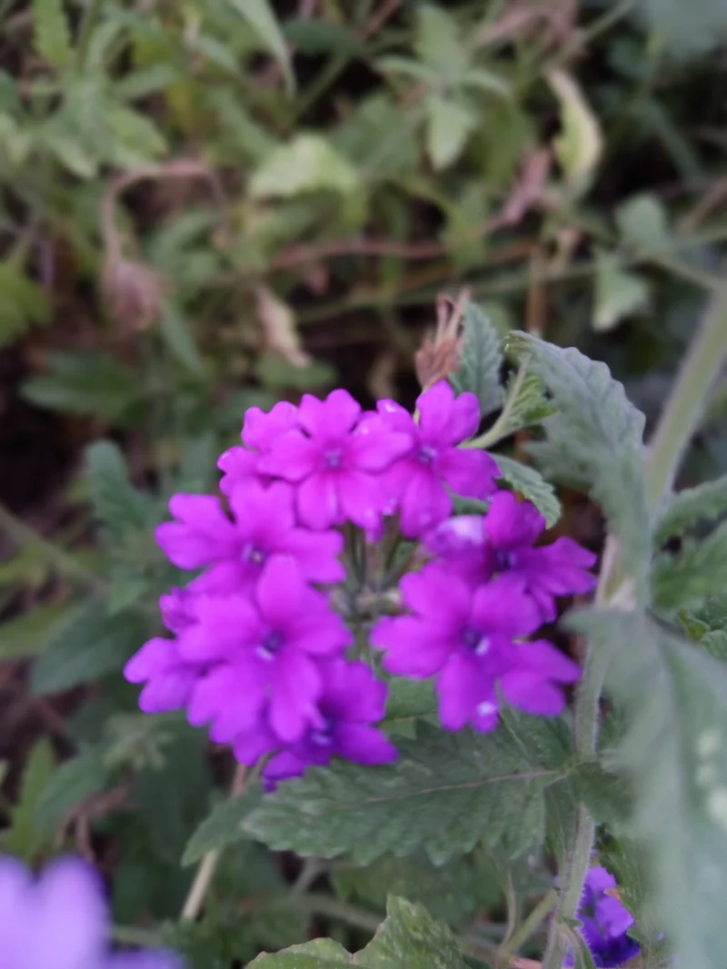 IMG_20250621_195215.webp