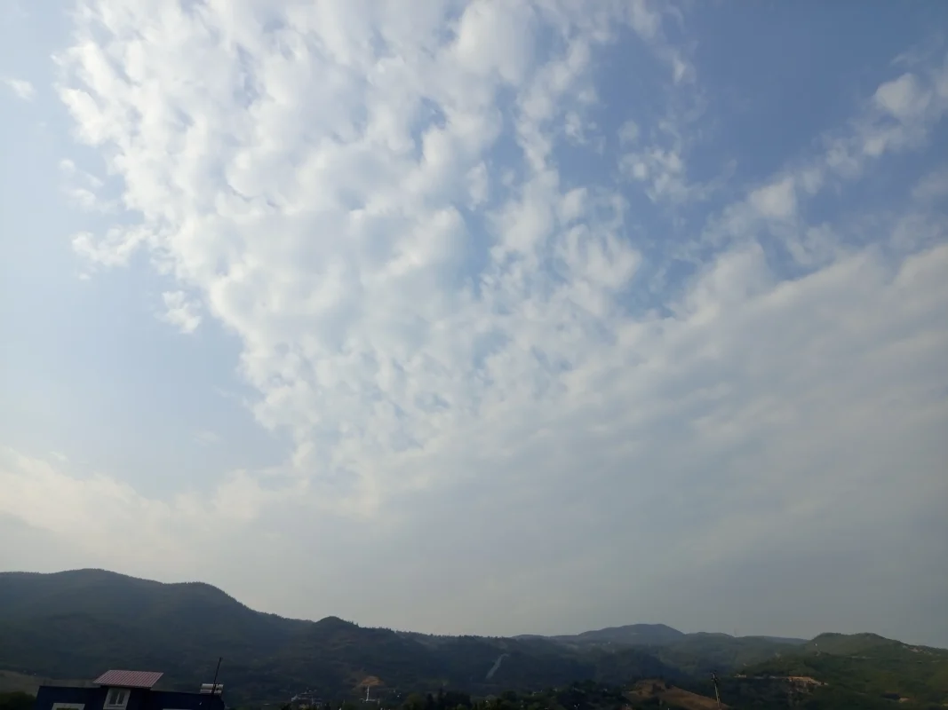 IMG_20250726_174426.webp