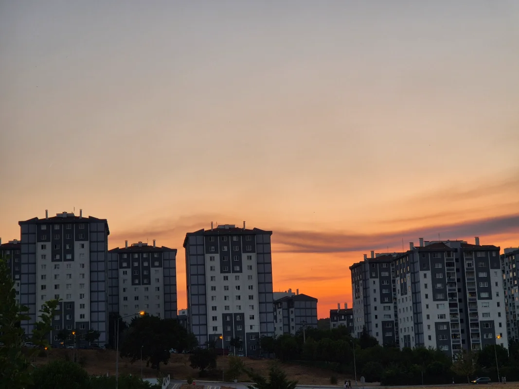 20250726_202706.webp