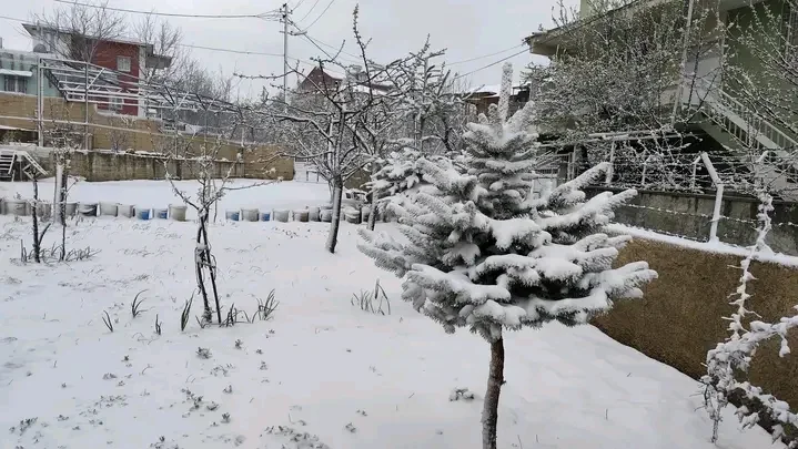 1753611820679.webp