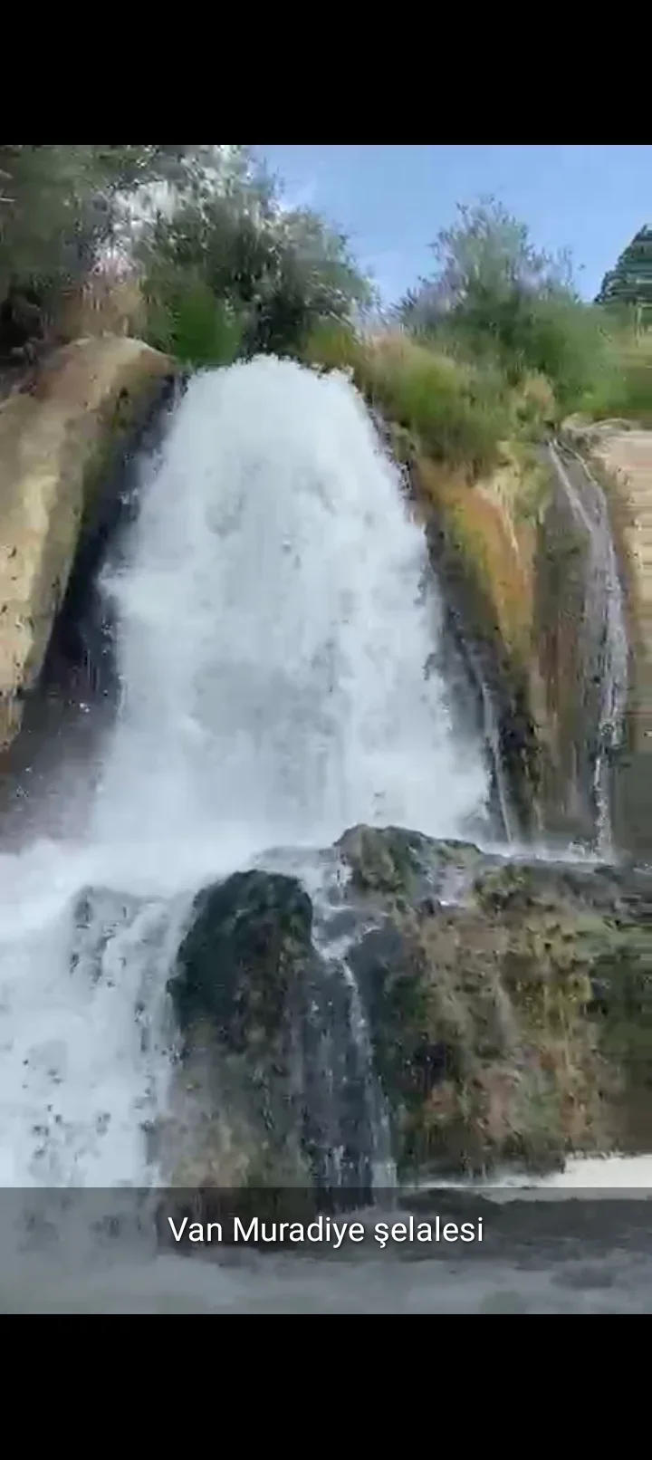 Screenshot_20250727-175219.webp