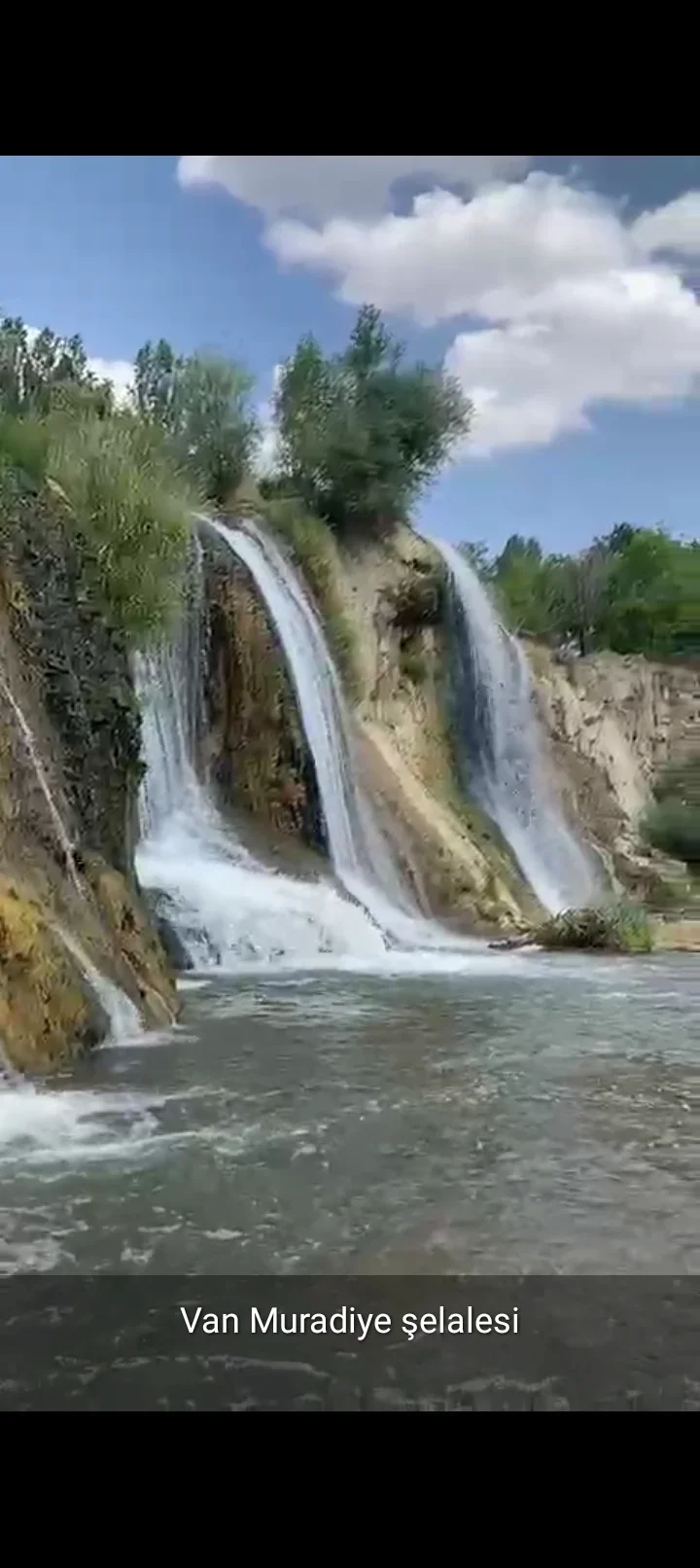 Screenshot_20250727-175252.webp