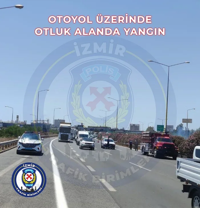 0002.webp