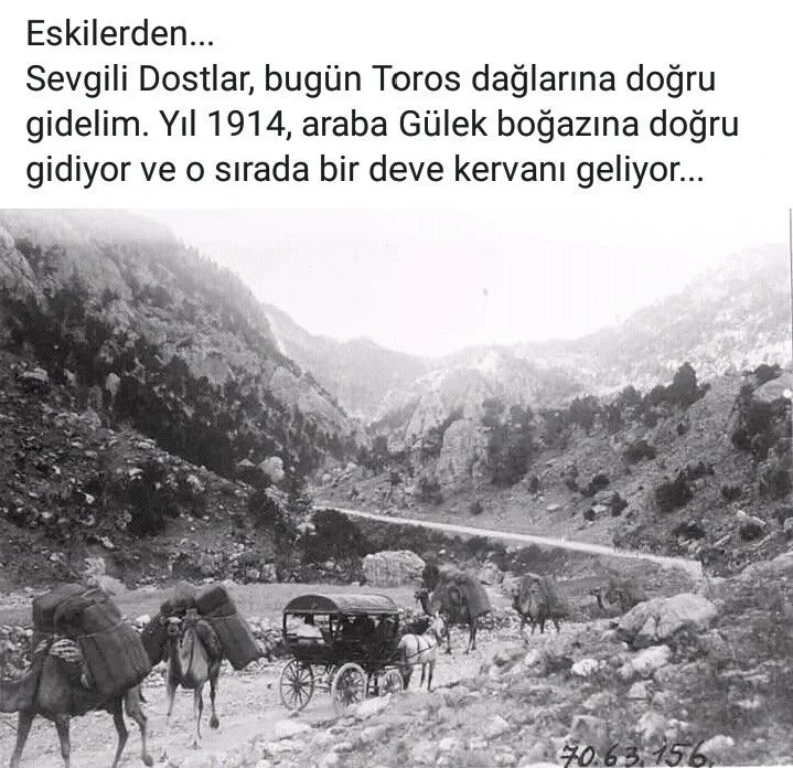 8dca66a2c1694cd4703fe1ecee7874d7.webp