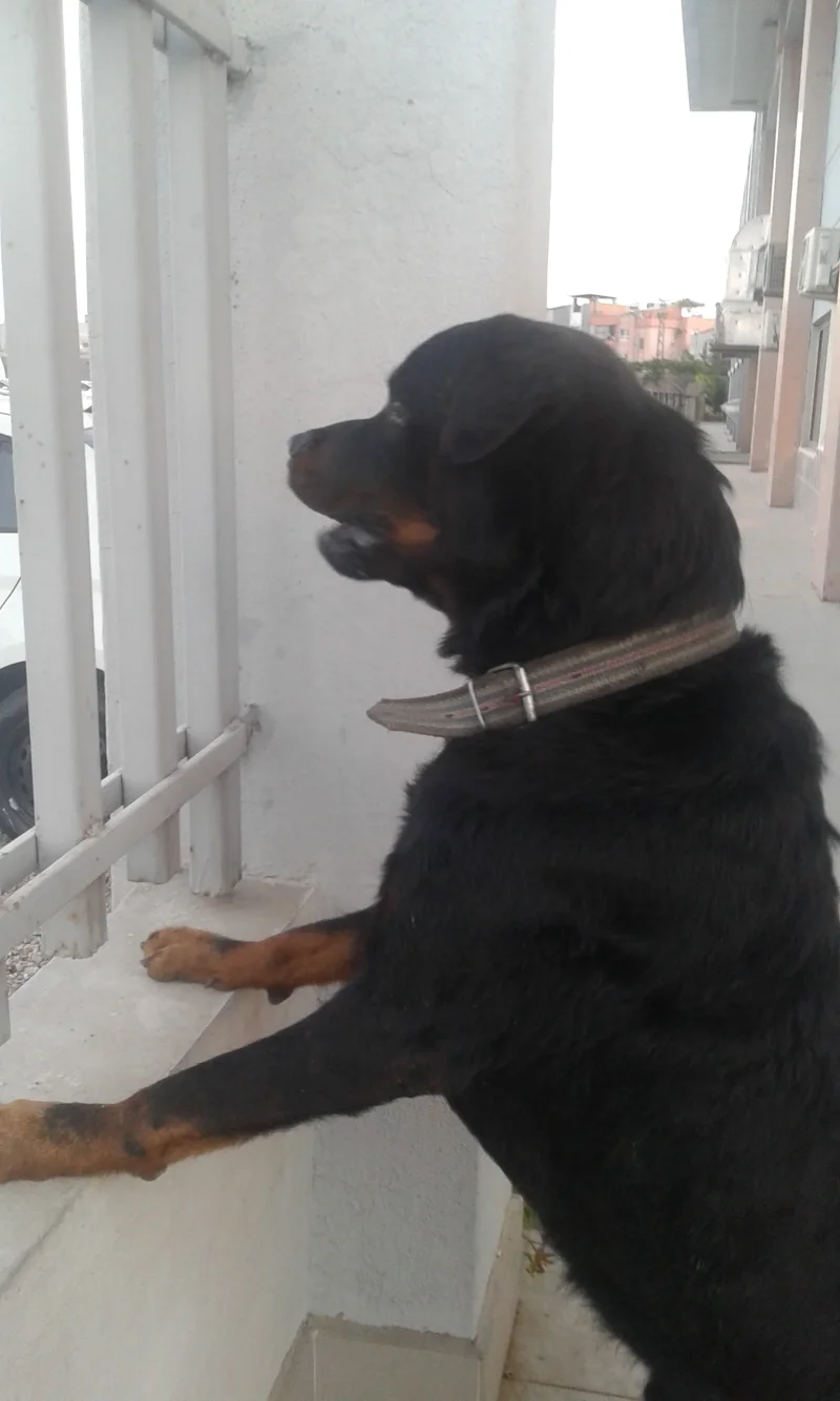 20160705_195329.webp