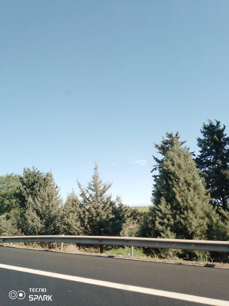 IMG_20250630_083513_576.webp